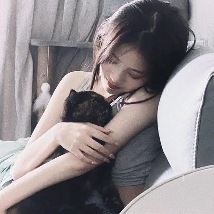 妄人妄途海报